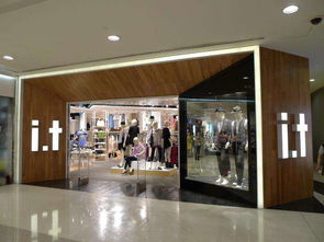 i.t集團靠中國內地市場咸魚翻身，鞋帽零售業務煥發新生